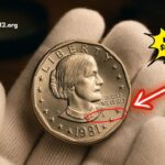 Rare $880,000 Susan B. Anthony Dollar - How To Spot The 1981 Coin Still In Circulation